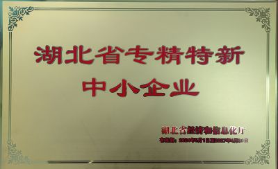 Hubei special new small and medium-sized enterprises